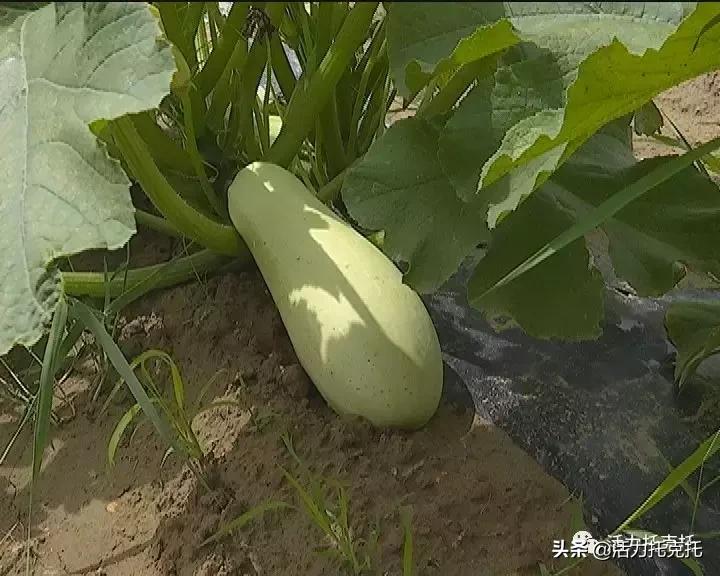 壮丽70年奋斗新时代相关资料,壮丽70年奋斗新时代总结