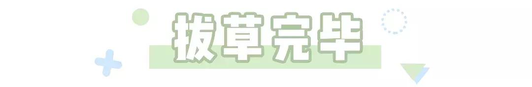 张馨予代购被骗是真的吗,张馨予代购被骗事件