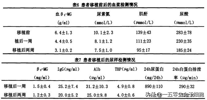 糖尿病肾病患者福音:干细胞疗法五大优势,打破传统干预肾病困局