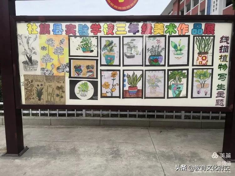 社旗县实验学校全景图,小学音体美教学质量考核方案