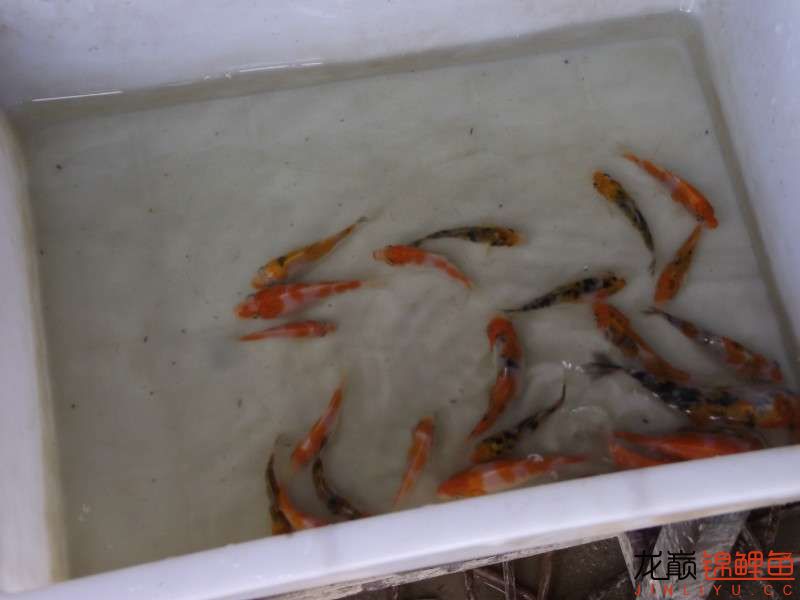 开渔场赚钱吗,开渔场需要多少资金