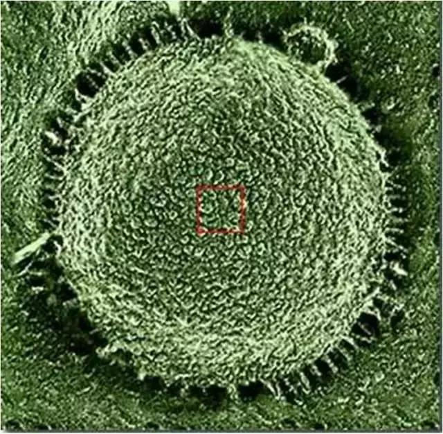 色即是空：这些图片看完后你还有什么想不通？