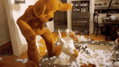 狗子在家来回踱步是什么原因,狗子为什么会很喜欢躲床底下睡觉