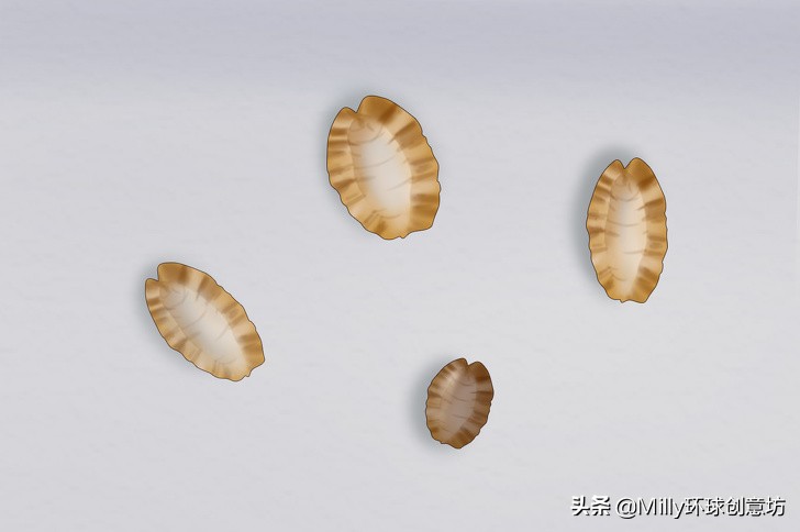 家中臭虫怎么彻底清除,家中有臭虫用什么杀虫剂