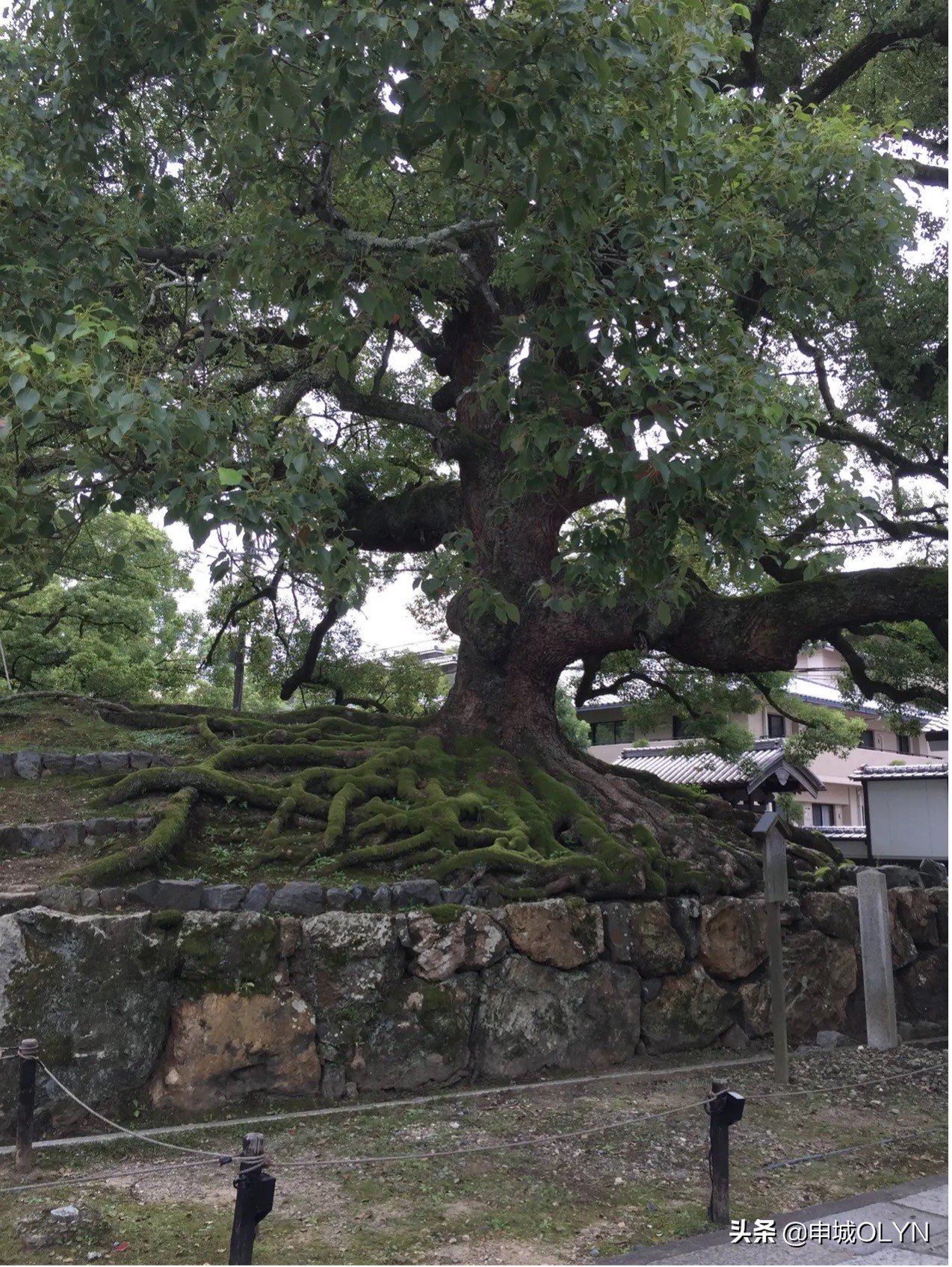 日本冲绳三年旅游签证办理攻略,日本单次旅游签证冲绳