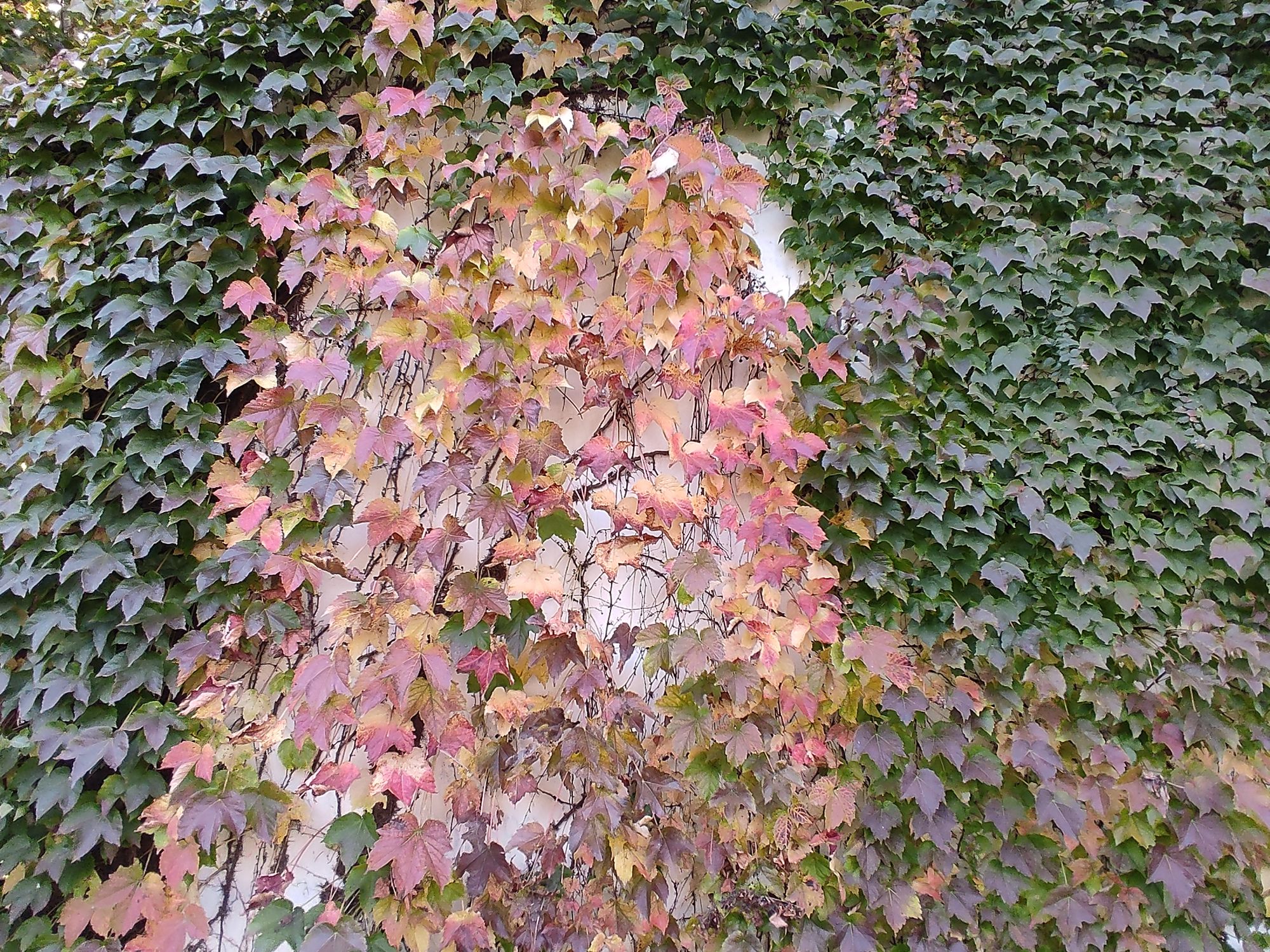 欣赏年画、邂逅大海、闲逛宜家，将生活过成诗与远方