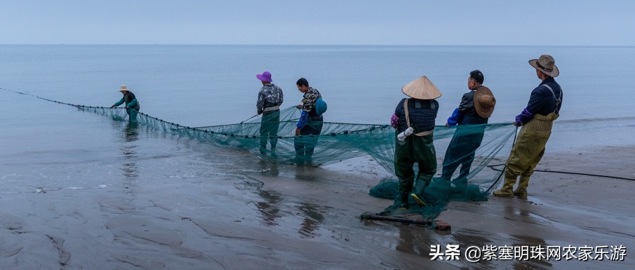有这样的小岛，乐亭韩姐农家院，感受近距离的荷兰风情