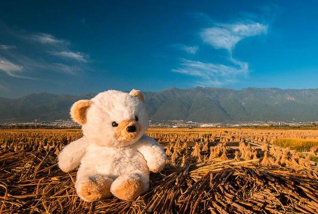 《一生世》｜不是“一生”，也不是“一世”，看“我”的残缺人生