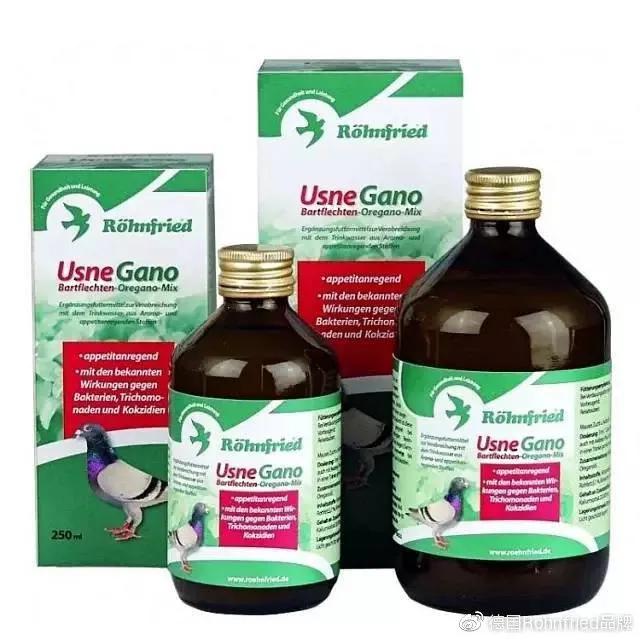 对赛鸽肠道进行保健的几个做法,五天的小幼鸽消化不良怎么办