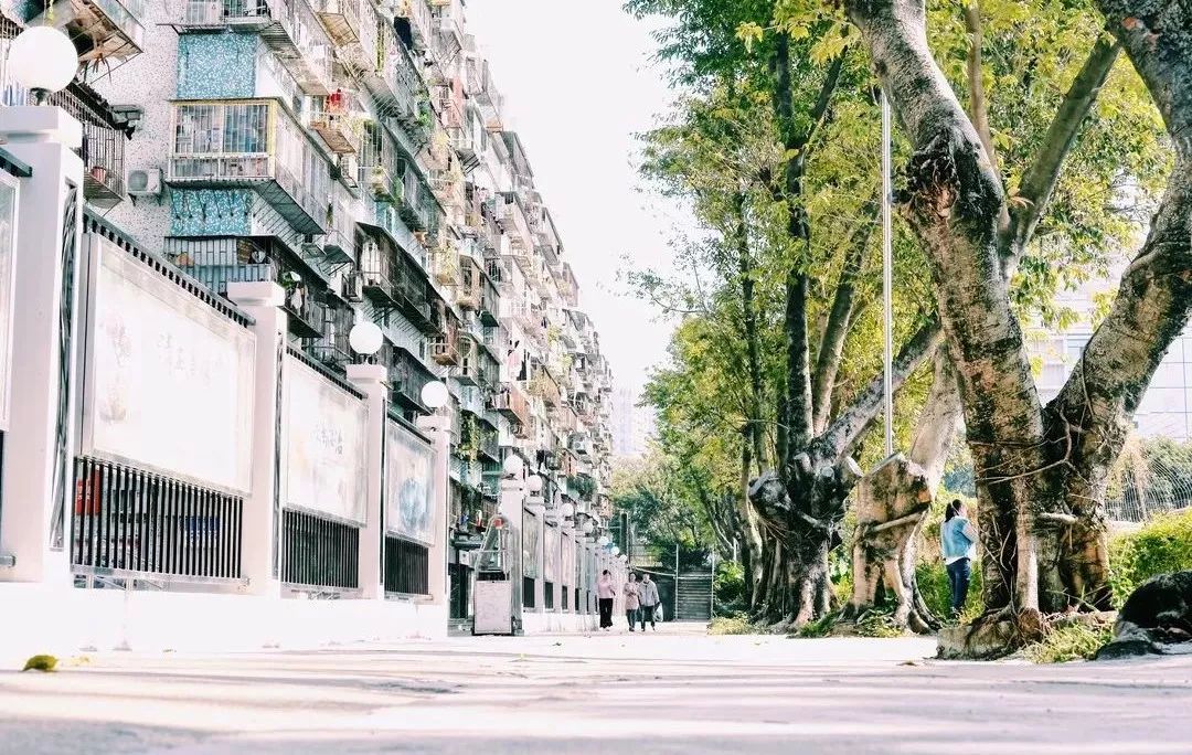 香蜜湖长廊,深圳市香蜜湖