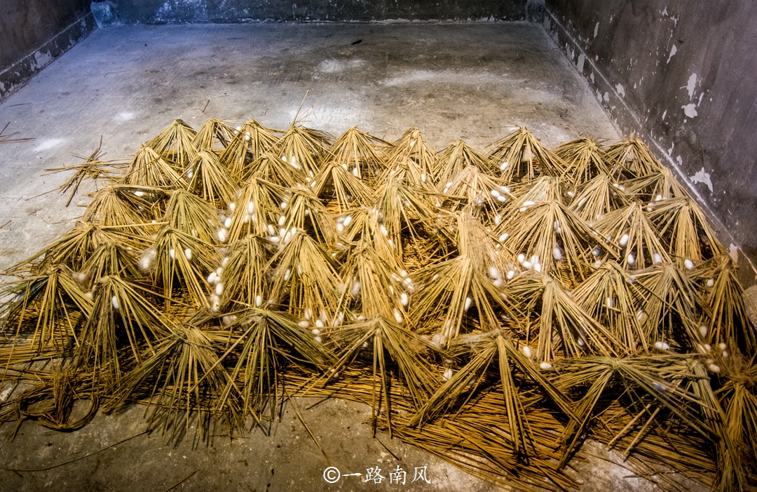 世界上最好的蚕丝,中国蚕丝最多的蚕丝之乡