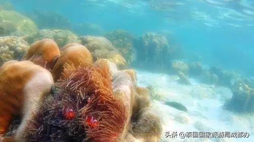 泰国贝丽岛美景,泰国雨季丽贝岛