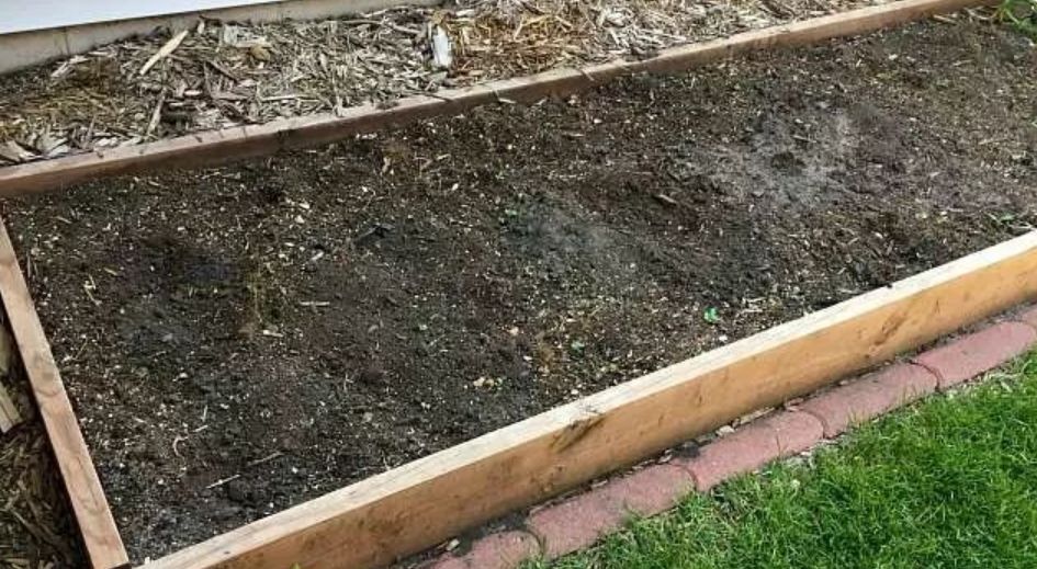 如何检测土壤的ph具体方法,如何不用ph试纸判断土壤的酸碱性