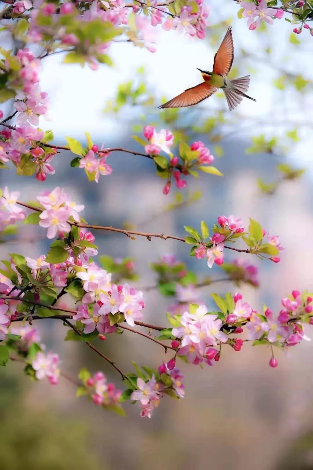 潍坊月亮湾风景区,潍坊月亮湾沙滩