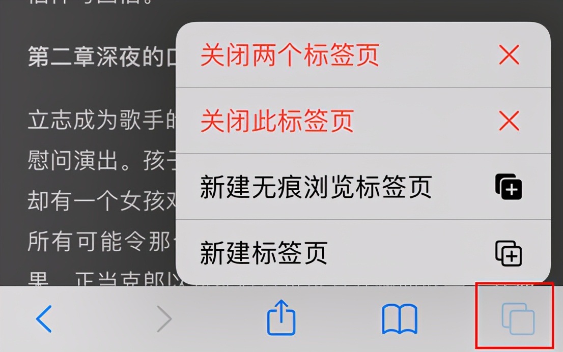 iphone的safari浏览器使用方法,iphone的safari浏览器是多少版本