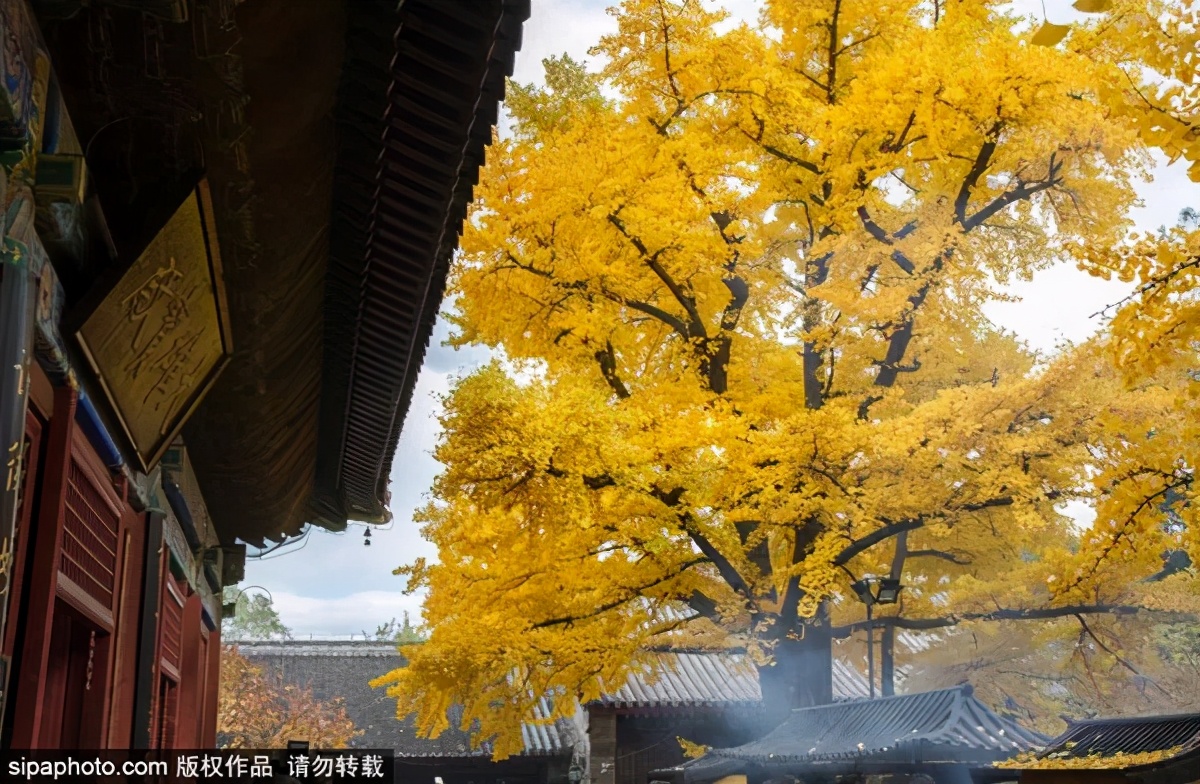 打卡北京十大古迹,打卡北京100个景点