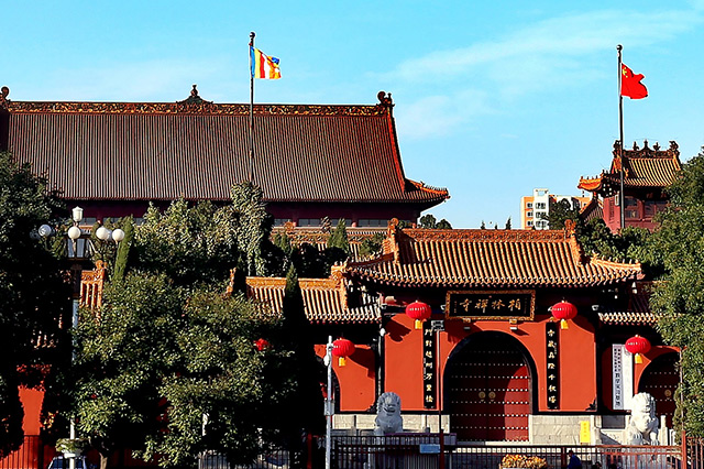 石家庄现在适合拍照的地方,石家庄拍照好去处冬天