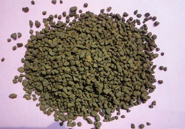 养猫发现有小飞虫,换季养猫注意事项千万别害了猫命