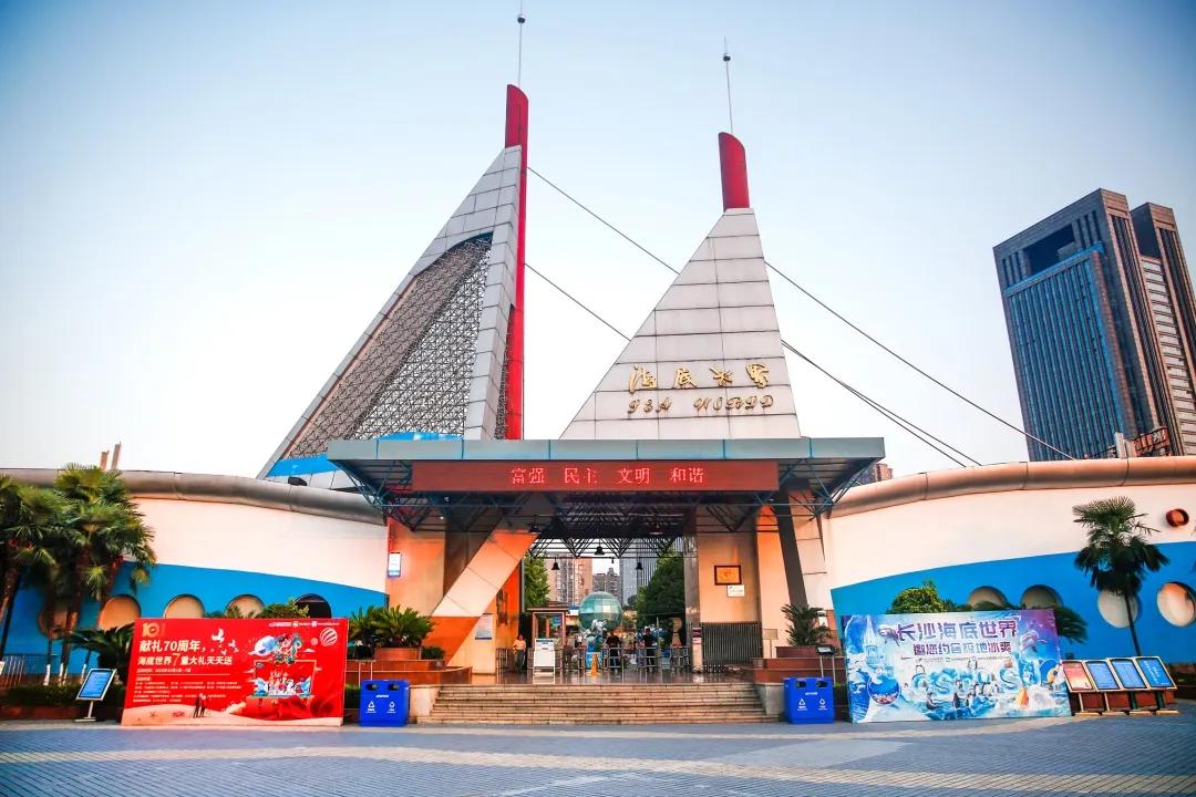 终于等到这一天轻音乐,终于等到这一天粤语