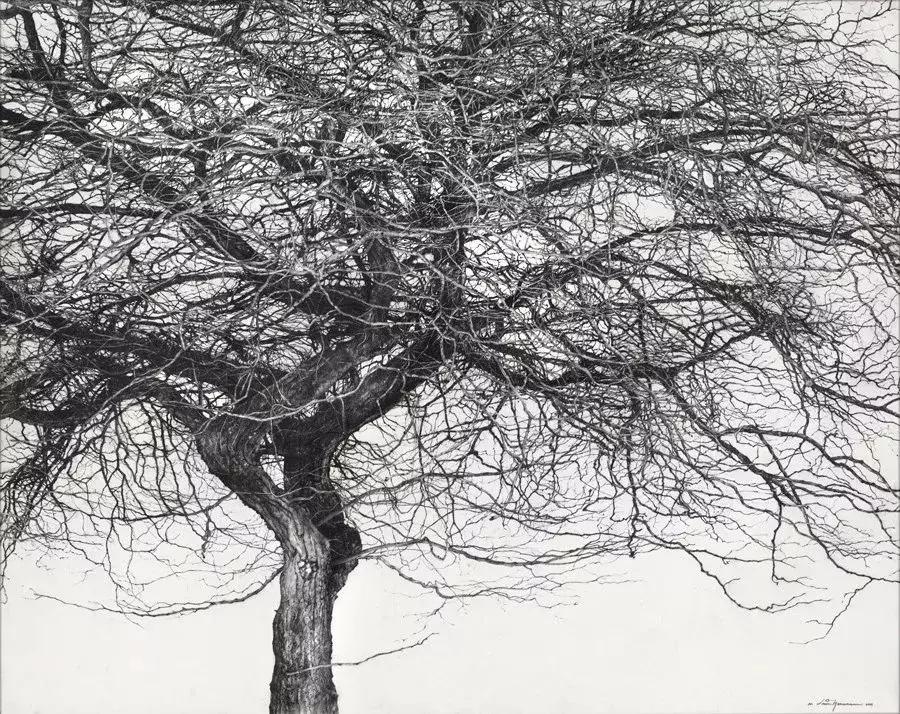 素描画画教程7-12岁素描风景画,设计素描和超写实素描