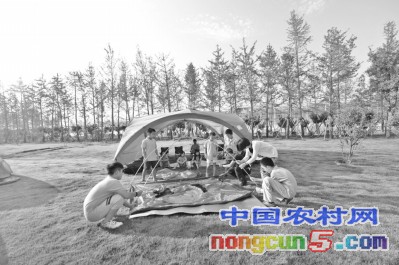 一抹绿色经典句子,一抹绿色生机勃勃