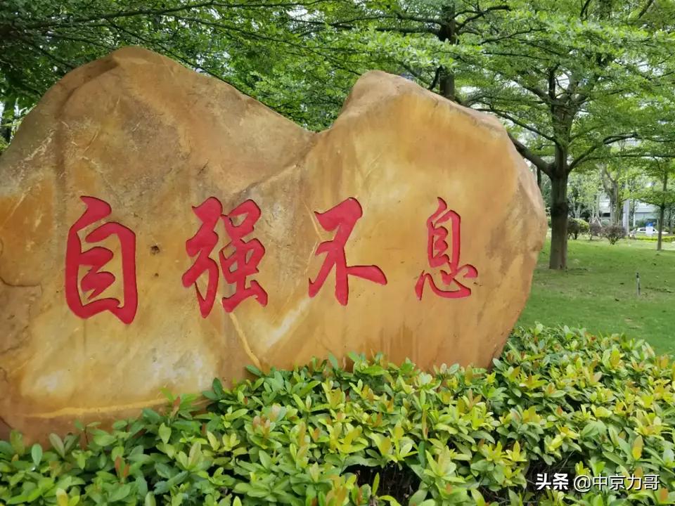 邯郸市峰峰矿区总医院外三科左艳红主任带领的团队