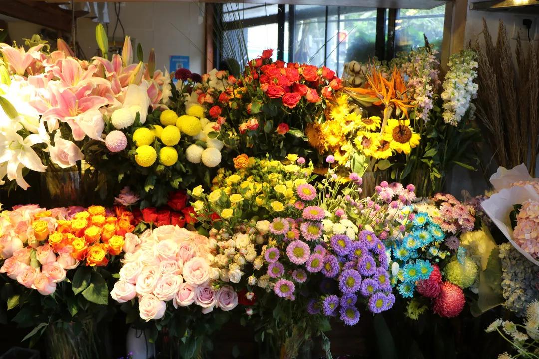 长乐路富民路,黄浦区长乐路和静安区长乐路