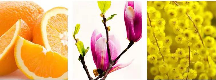 十大最撩人香水排行榜,撩死人的香水推荐