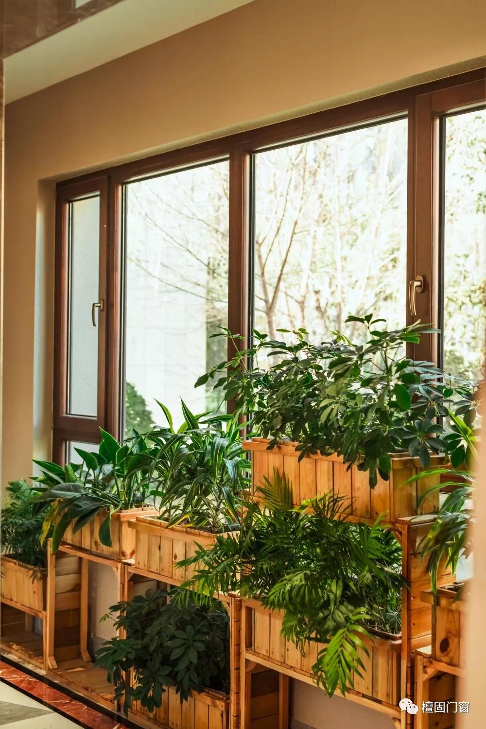 铝包木门窗排行榜最新,铝包木新型门窗价格