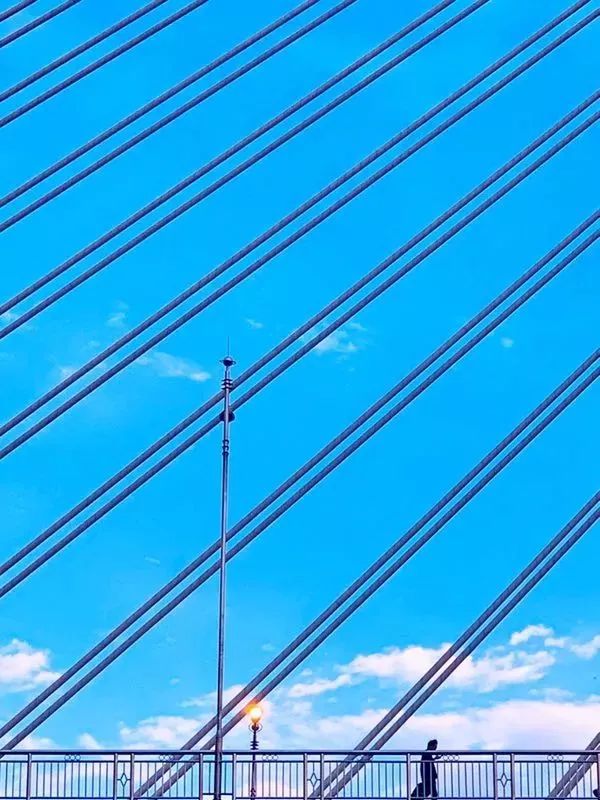 手机拍出的大片摄影作品,手机拍作品好看又高清