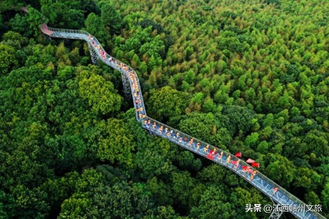 江西森林马拉松赛大余站第一名,江西森林马拉松系引赛靖安站