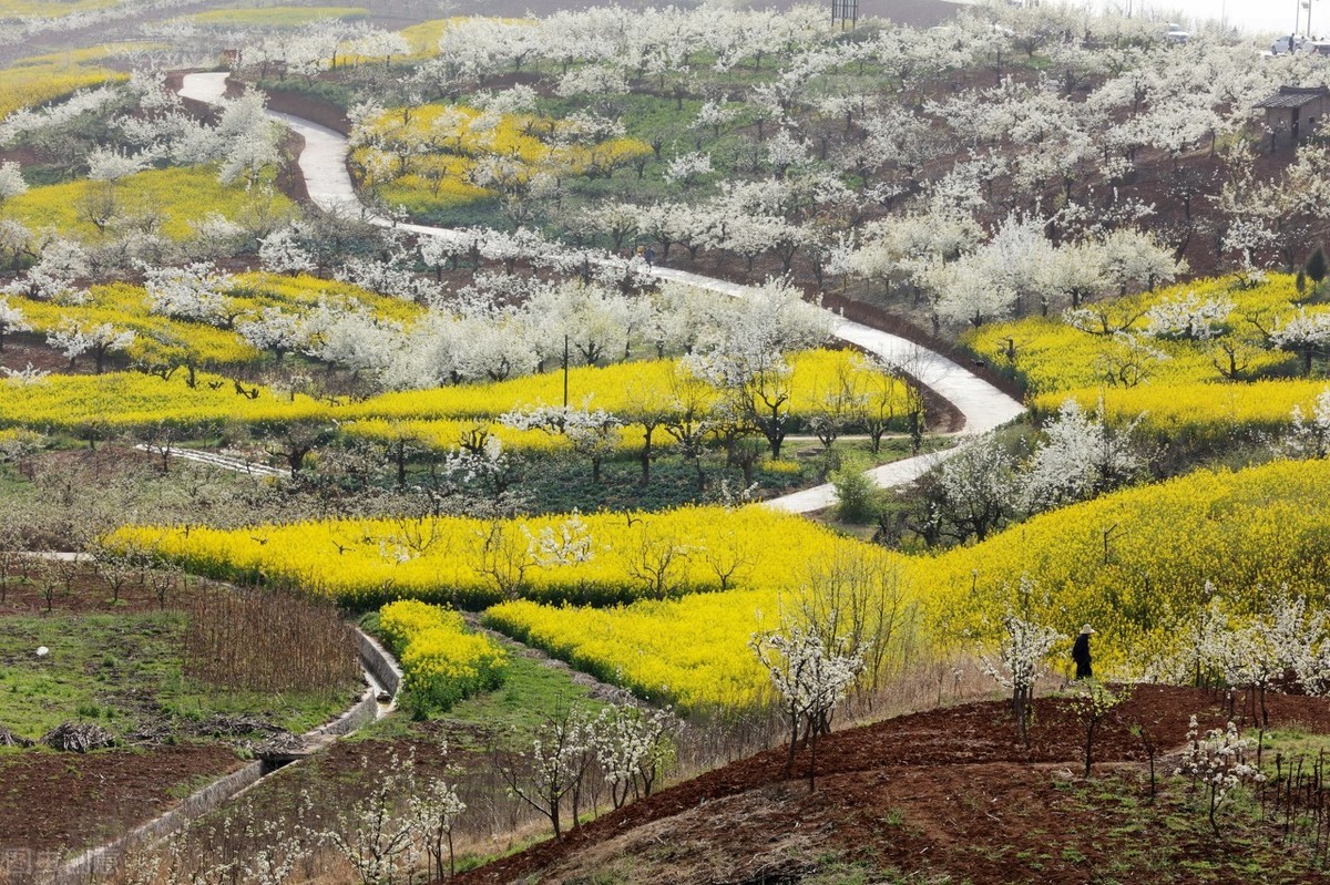 汉中平原有哪些城市,陕西汉中南方北方