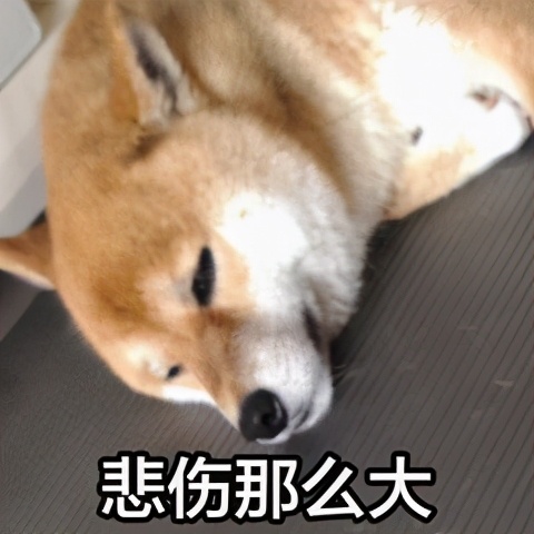 人狗寄生虫,狗狗得寄生虫病去医院治要多少钱