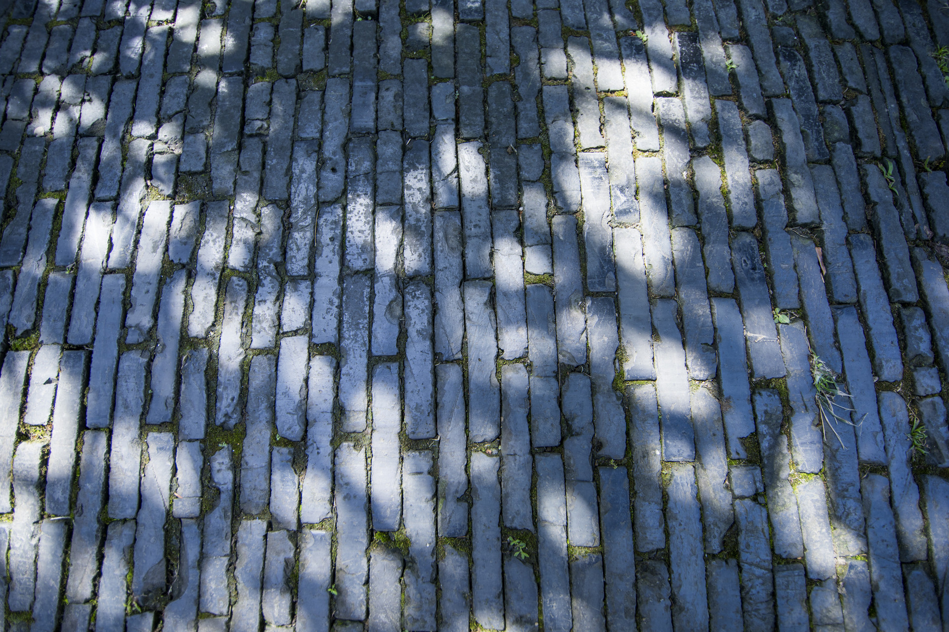 浜旀湀榛勬澶╀笁鏄熺櫧鍏板湴,涓夋槦鐧藉叞鍦颁簲鏈堥粍姊呭ぉ