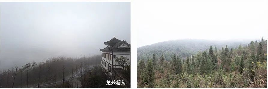 贵州的道地药材天麻,天麻属于哪里的道地药材