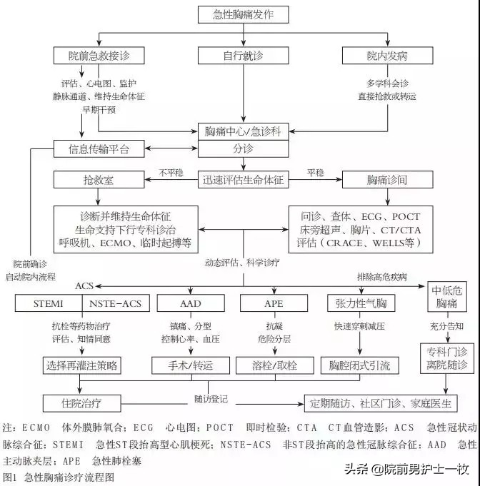 自发性气胸的紧急处理,自发性气胸急救处理