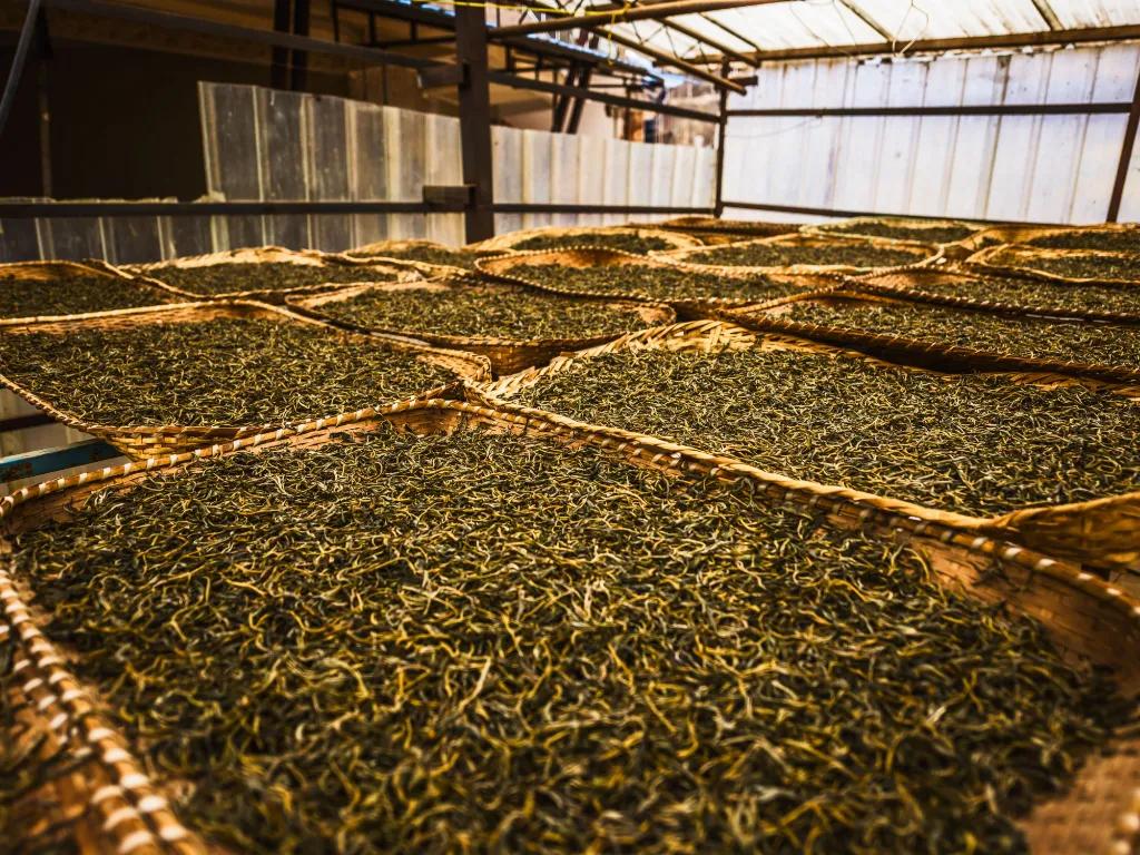 怎么挑选袋装茶叶的好坏,怎样选购茶叶包装