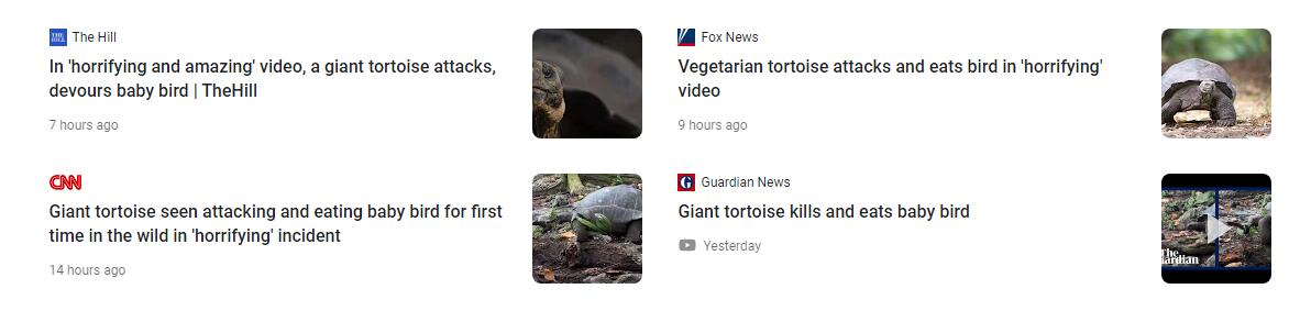 好罕见！野生乌龟捕食雏鸟，一口咬死为什么草食动物开始吃肉了？