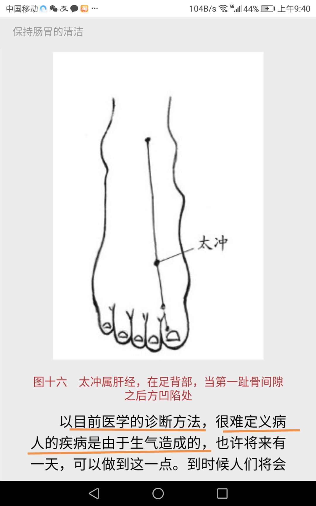 为晕倒在养生*魂迷**汤的同学小科普了一下