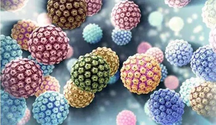 hpv病毒的克星中药,hpv病毒的示意图