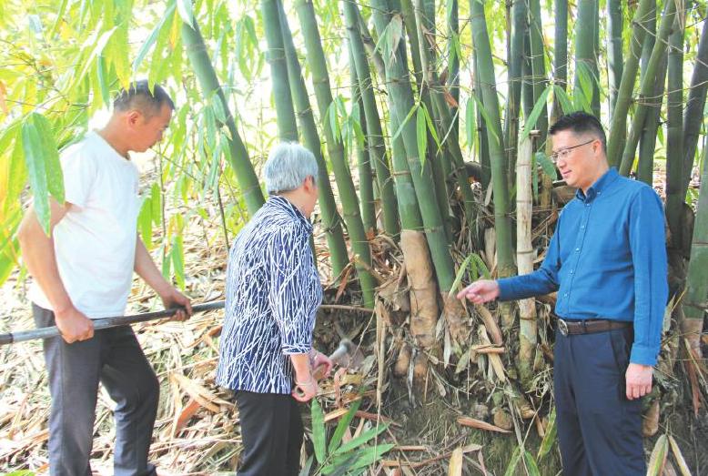 返乡创业，赚“竹”的钱——刘滨创业故事