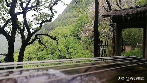 欲赴烟霞。识破浮华。这盏茶