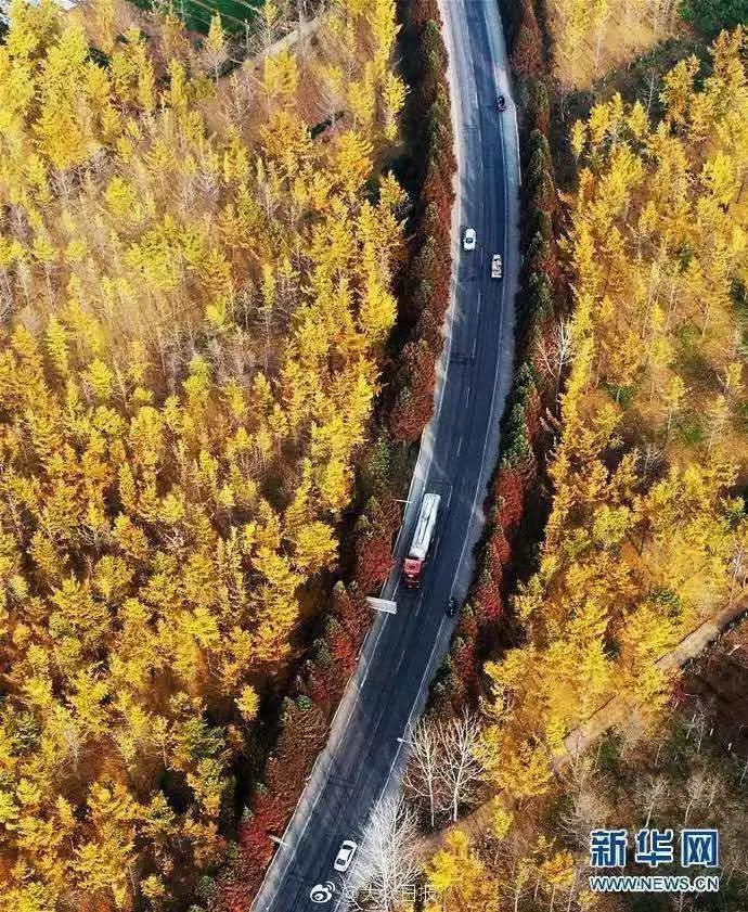 山东方言中存在的生僻字,山东生僻地名