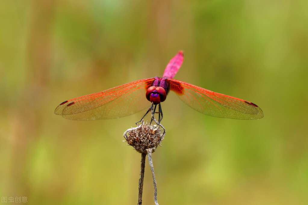 影响世界的十大科学家,影响世界科技十大人物