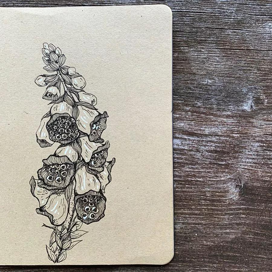 一看就懂的针管简笔画,针管笔入门手绘1000例临摹图