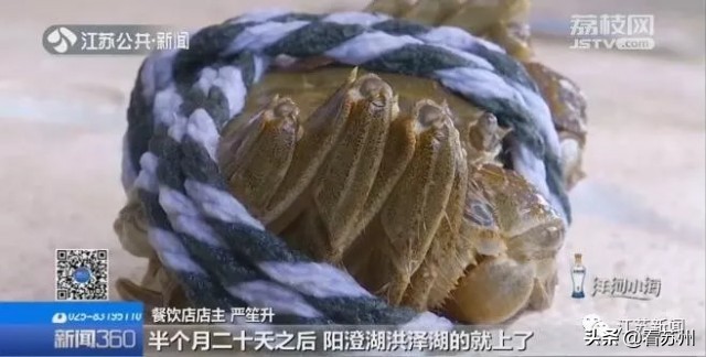 中秋节阳澄湖大闸蟹什么价格,中秋节为什么要吃阳澄湖大闸蟹