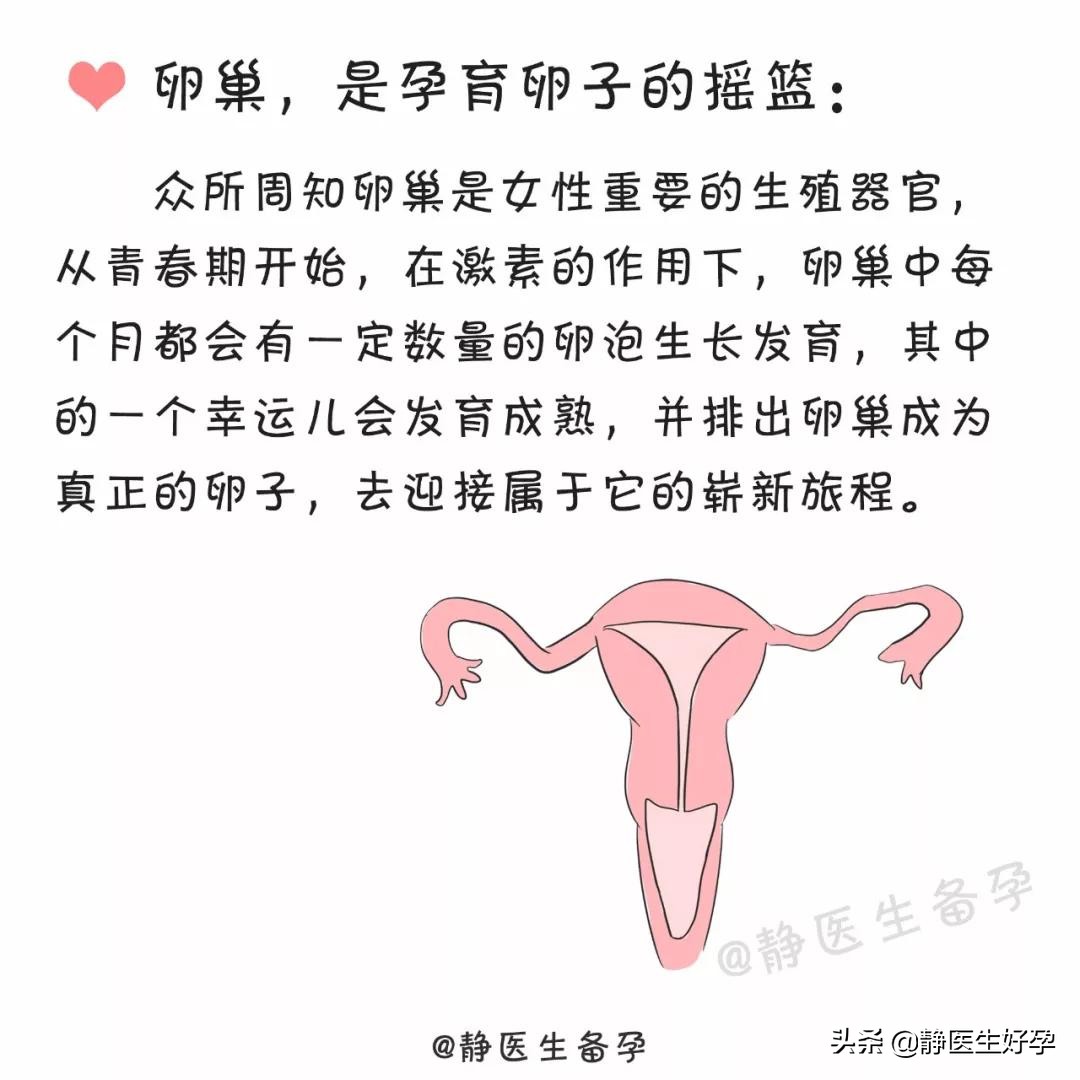 36岁早衰该怎么备孕,静医生团队调理怀孕可靠吗