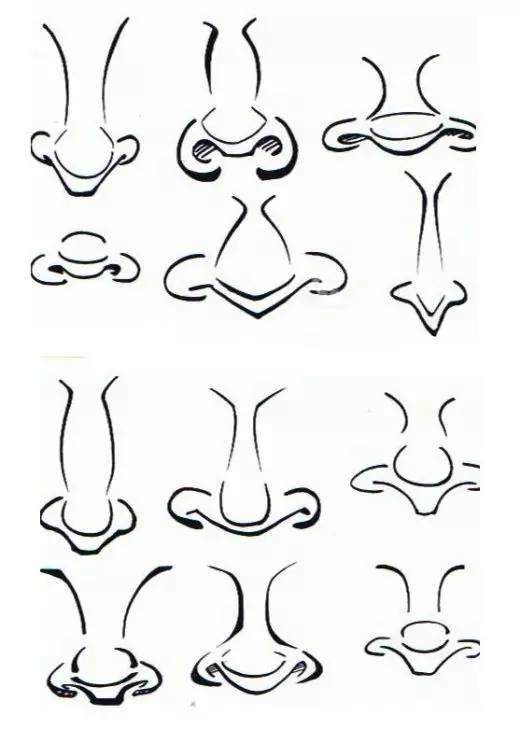 美术资料大全,大象的鼻子简单画法