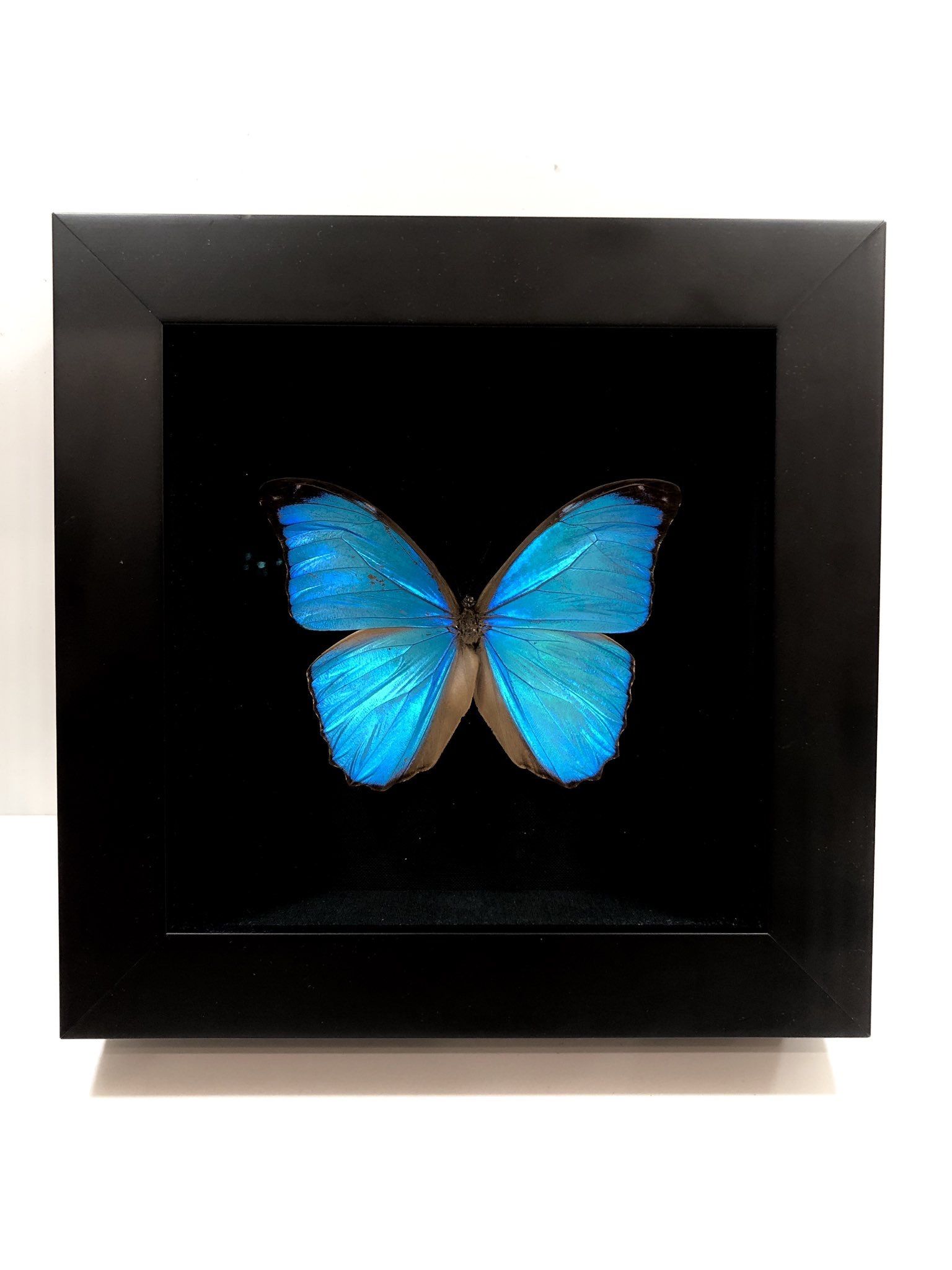 applewatch初代图片,applewatch初代外观