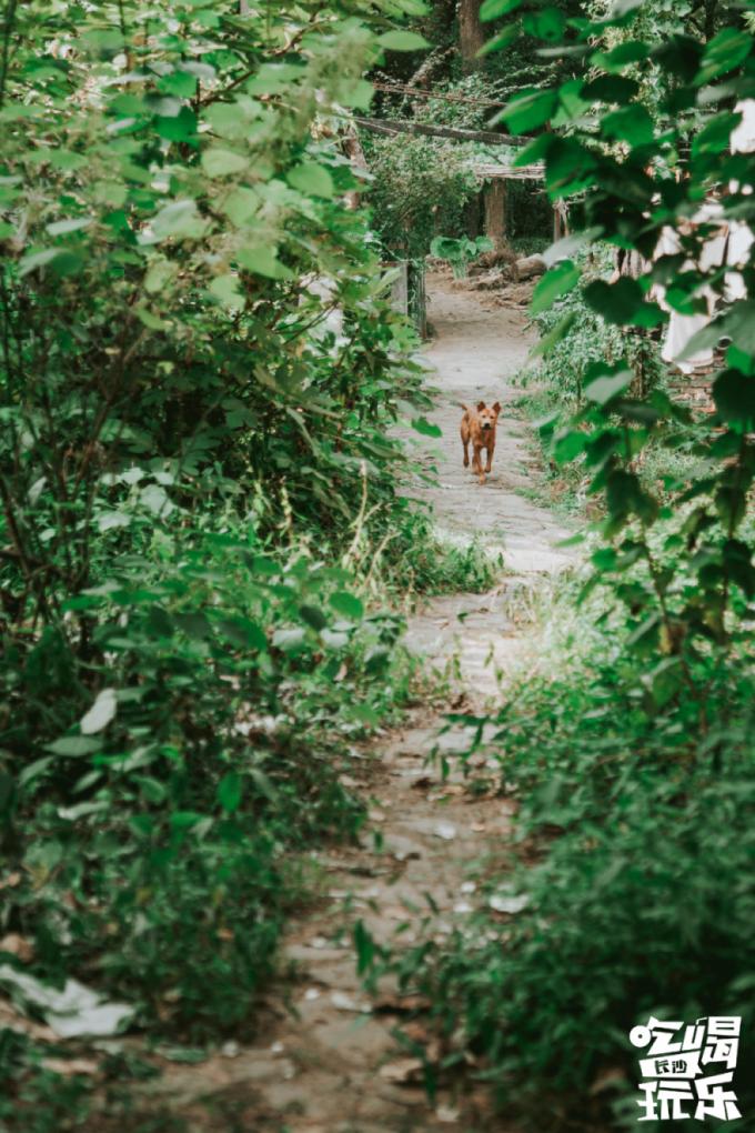 长沙放空自己去哪里,五一长沙人去哪儿玩推荐